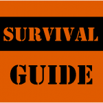 Survival guide